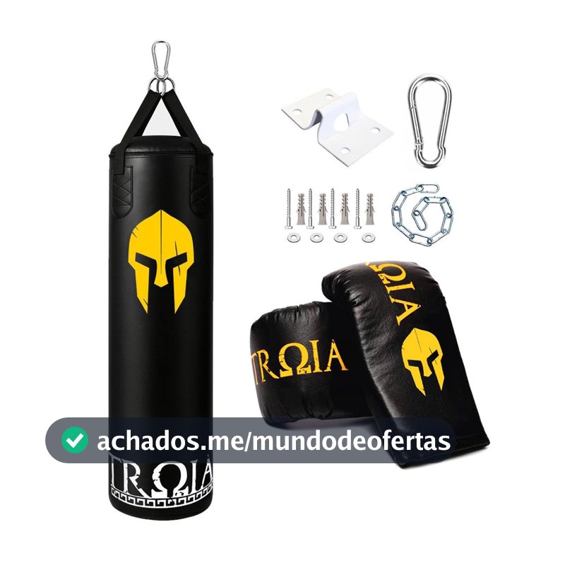 Saco de pancada profissional + luva + suporte (120)